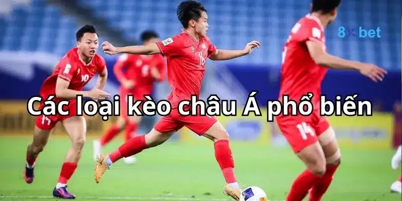 Kèo Châu Á - Tất Tật Thông Tin Về Kèo Châu Á Cho Người Mới 2 Các loại kèo nhà cái châu Á đa dạng và phong phú