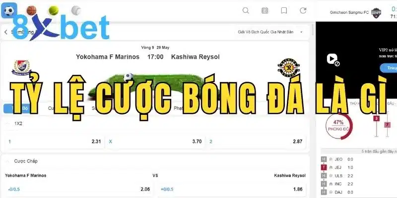 Tỷ lệ cược bóng đá là gì? Tìm hiểu chi tiết về tỷ lệ kèo cược 3 Hiểu đúng tỷ lệ cược bóng đá là gì