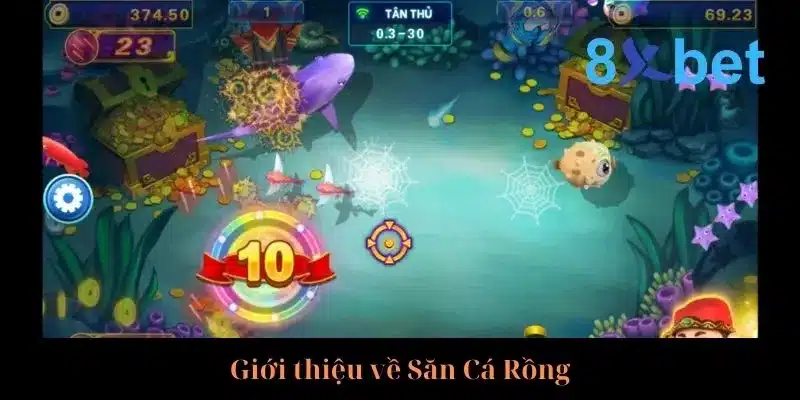 Cẩm Nang Săn Cá Rồng Rinh Về Thưởng Lớn Từ Cao Thủ 1 Vài nét sơ lược về Săn Cá Rồng