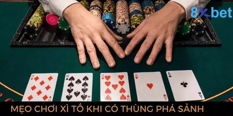 Thùng Phá Sảnh - Giải Mã Thuật Ngữ Trong Bài Mậu Binh 4 Mẹo đánh xì tố khi sở hữu bộ phá sảnh