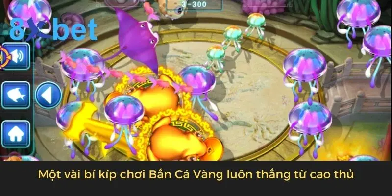 Bắn Cá Vàng - Tựa Game Đổi Thưởng Online Hot Nhất 2024 4 Một vài bí kíp chơi Bắn Cá Vàng luôn thắng từ cao thủ