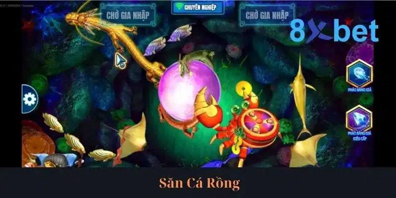 Cẩm Nang Săn Cá Rồng Rinh Về Thưởng Lớn Từ Cao Thủ 2 Cẩm Nang Săn Cá Rồng Rinh Về Thưởng Lớn Từ Cao Thủ