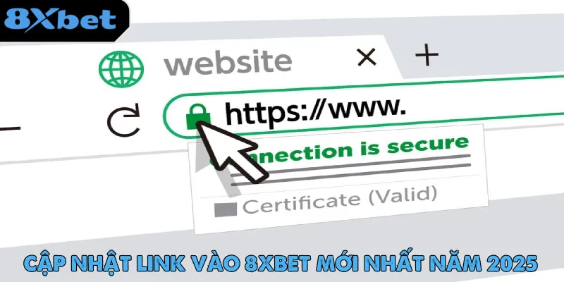 Link vào 8xbet truy cập siêu nhanh, an toàn tuyệt đối cho người mới