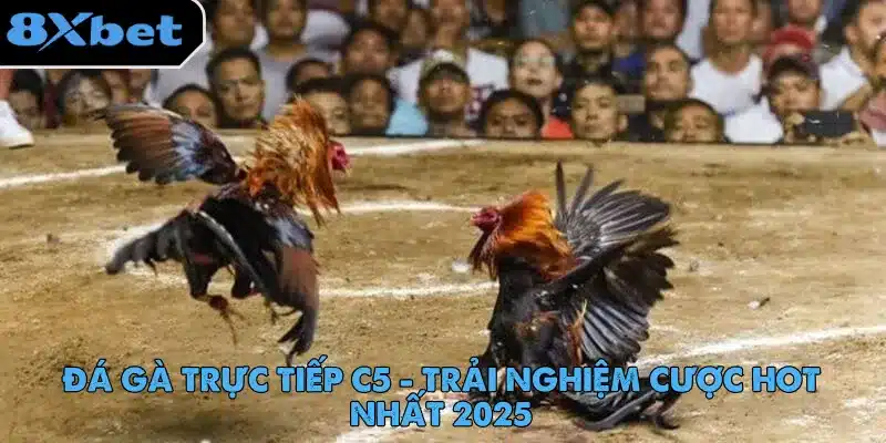 Đá Gà Trực Tiếp C5 - Trải Nghiệm Cược Hot Nhất 2025 2 da-ga-truc-tiep-c5